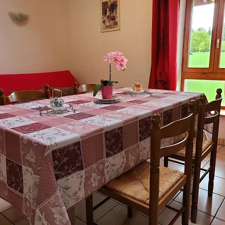 아파트 Confortable En Montagne Avec Terrasse, Ideal Pour Rando Et Cure, Proche De Plombieres-les-bains - Fr-1-589-172